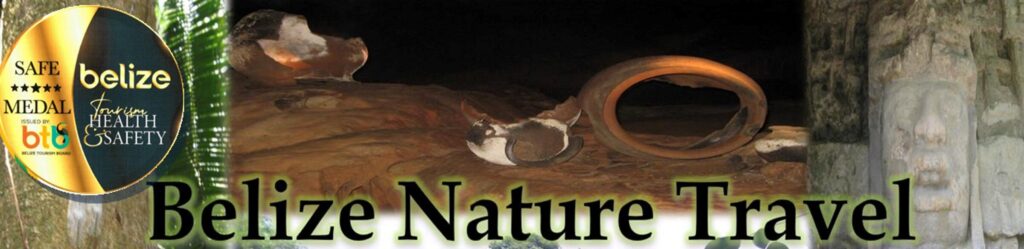 Experience Belize Nature Travel Safety First